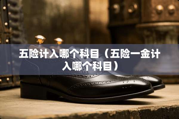 五险计入哪个科目（五险一金计入哪个科目）
