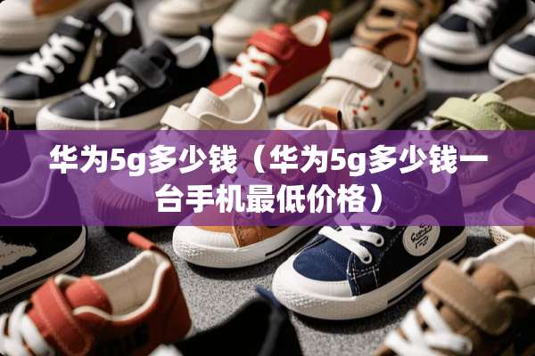 华为5g多少钱（华为5g多少钱一台手机最低价格）