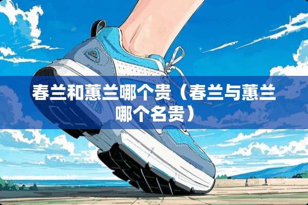 春兰和蕙兰哪个贵（春兰与蕙兰哪个名贵）