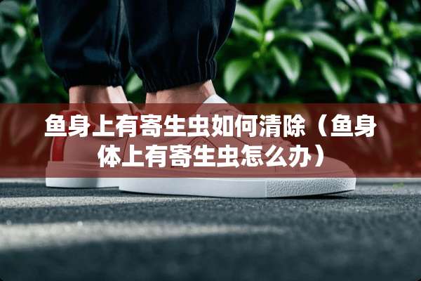 鱼身上有寄生虫如何清除（鱼身体上有寄生虫怎么办）