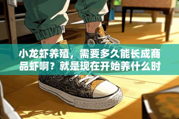 小龙虾养殖，需要多久能长成商品虾啊？就是现在开始养什么时候能养成商品吓啊