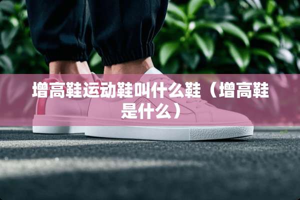 增高鞋运动鞋叫什么鞋（增高鞋是什么）