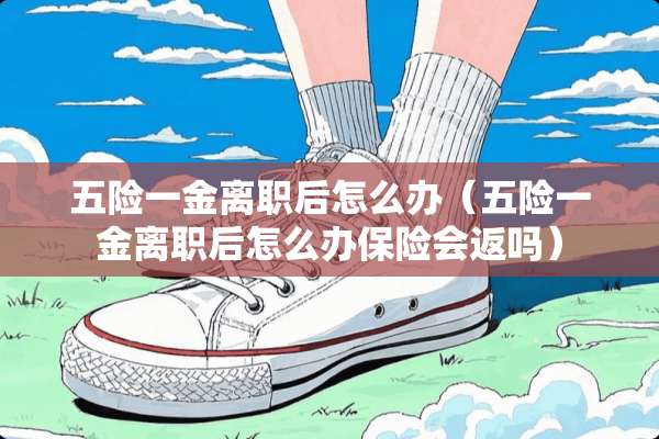 五险一金离职后怎么办（五险一金离职后怎么办保险会返吗）