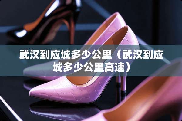 武汉到应城多少公里（武汉到应城多少公里高速）