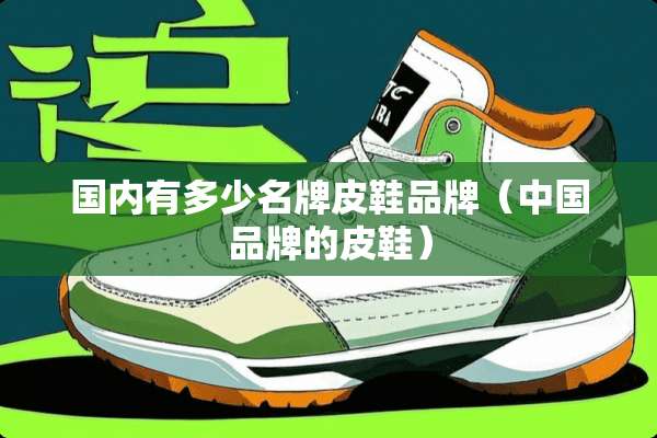 国内有多少名牌皮鞋品牌（中国品牌的皮鞋）