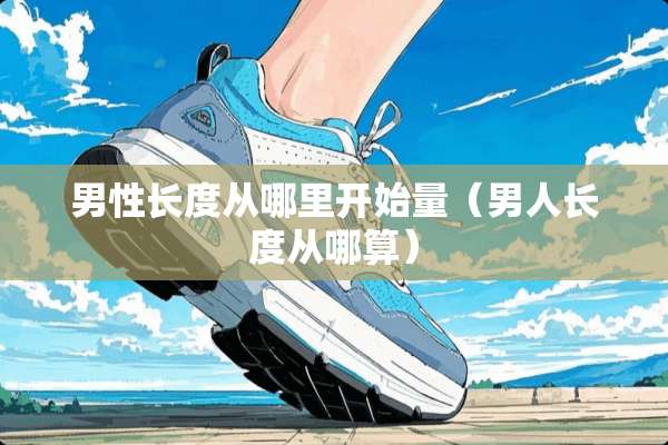 男性长度从哪里开始量（男人长度从哪算）