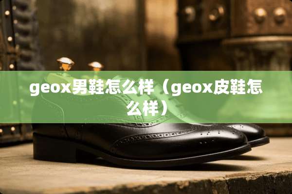 geox男鞋怎么样（geox皮鞋怎么样）