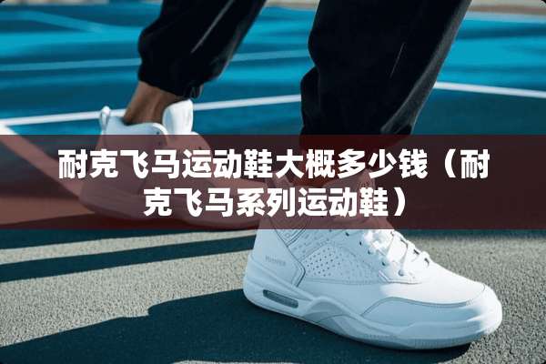 耐克飞马运动鞋大概多少钱（耐克飞马系列运动鞋）