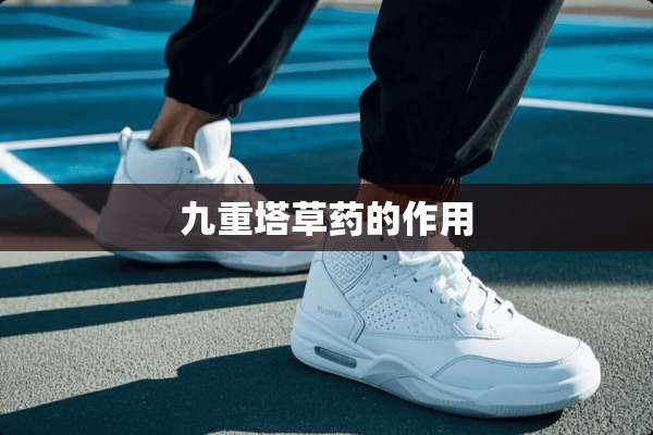 九重塔草药的作用