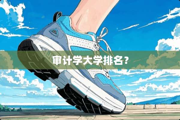 审计学大学排名？