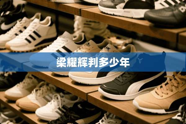 梁耀辉判多少年