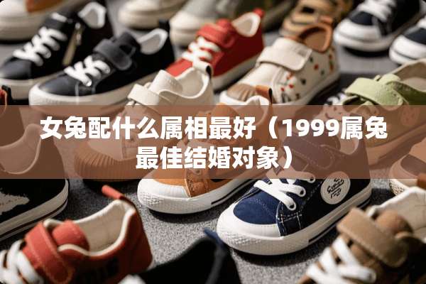 女兔配什么属相最好（1999属兔最佳结婚对象）