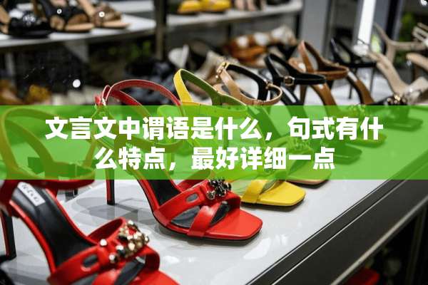 文言文中谓语是什么，句式有什么特点，最好详细一点