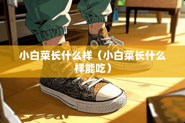 小白菜长什么样（小白菜长什么样能吃）