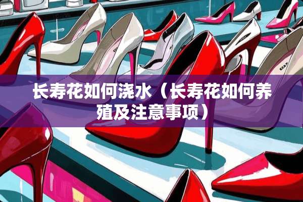 长寿花如何浇水（长寿花如何养殖及注意事项）