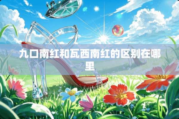 九口南红和瓦西南红的区别在哪里