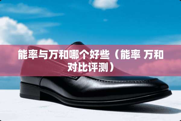 能率与万和哪个好些（能率 万和对比评测）