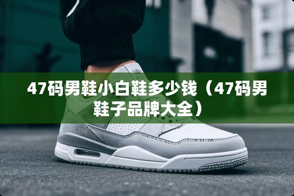47码男鞋小白鞋多少钱（47码男鞋子品牌大全）