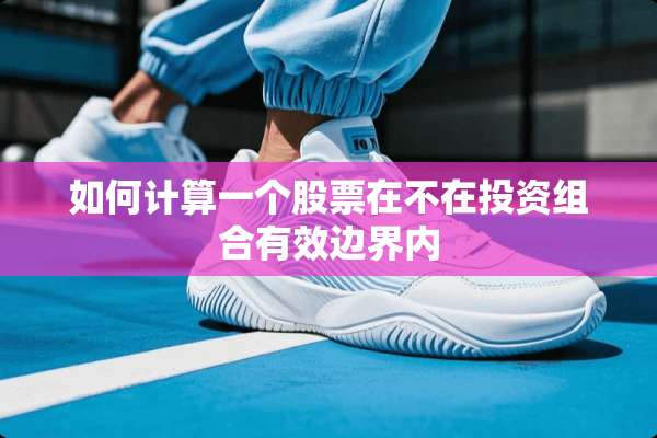如何计算一个股票在不在投资组合有效边界内