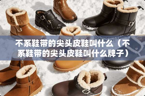 不系鞋带的尖头皮鞋叫什么（不系鞋带的尖头皮鞋叫什么牌子）