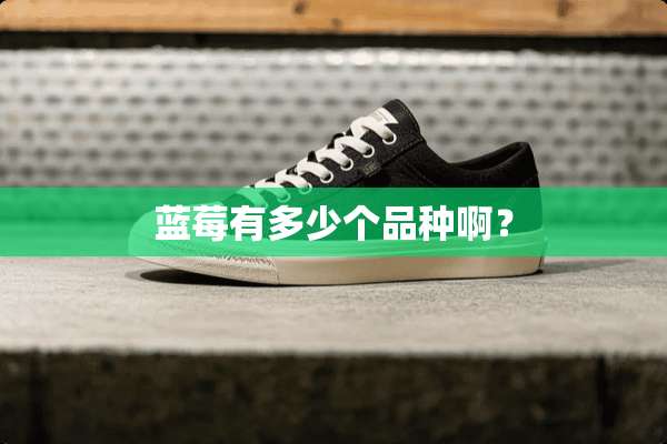 蓝莓有多少个品种啊？