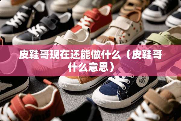 皮鞋哥现在还能做什么（皮鞋哥什么意思）