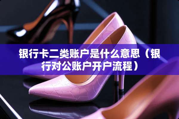 ***二类账户是什么意思（银行对公账户开户流程）