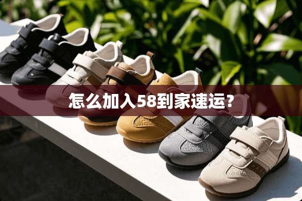 怎么加入58到家速运？