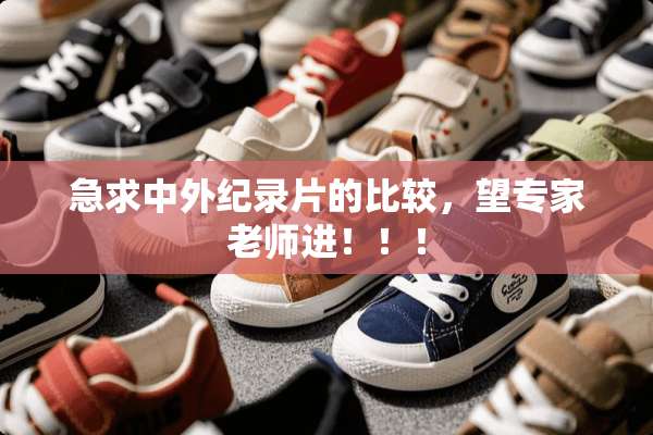 急求中外纪录片的比较，望专家老师进！！！