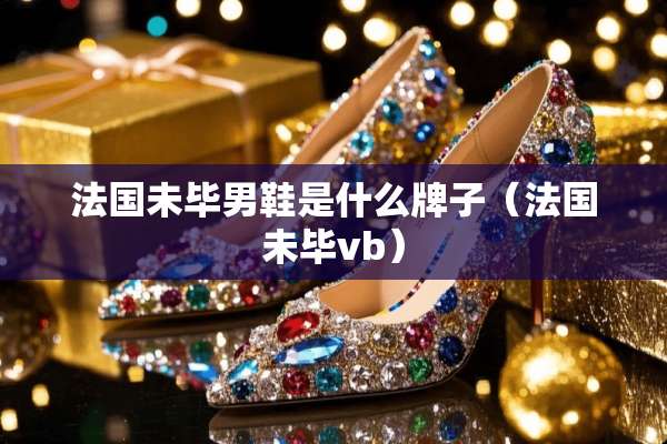 法国未毕男鞋是什么牌子（法国未毕vb）