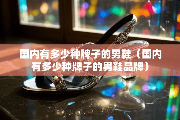 国内有多少种牌子的男鞋（国内有多少种牌子的男鞋品牌）