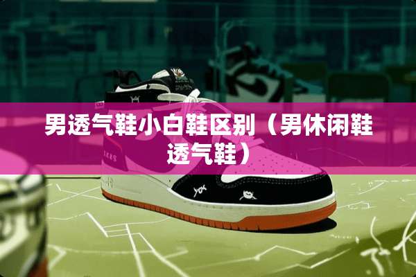 男透气鞋小白鞋区别（男休闲鞋透气鞋）