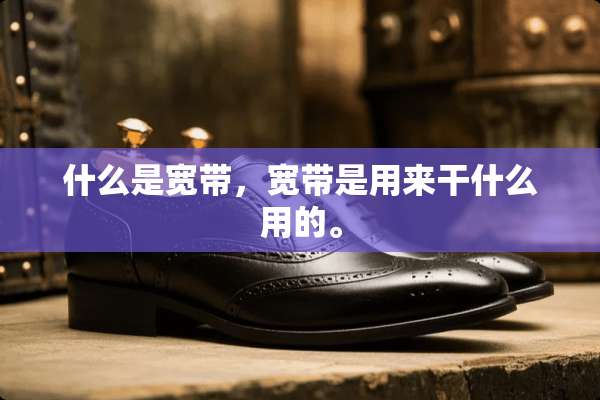 什么是宽带，宽带是用来干什么用的。