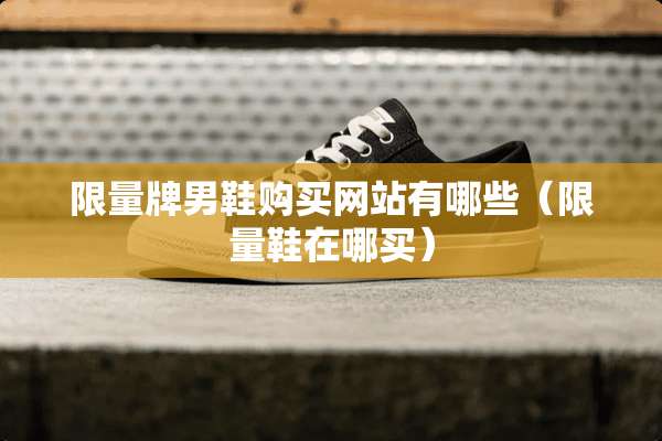 限量牌男鞋购买网站有哪些（限量鞋在哪买）