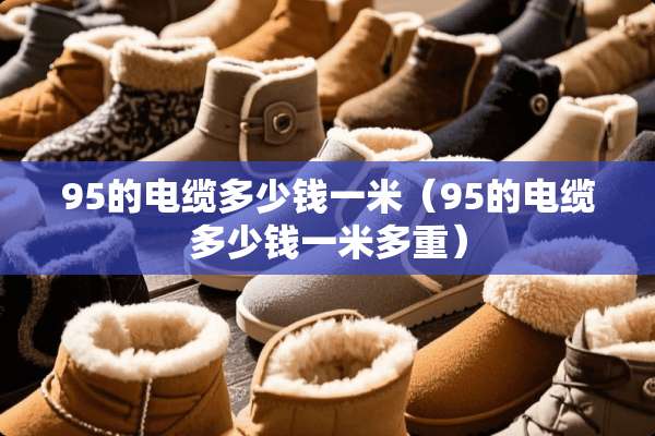 95的电缆多少钱一米（95的电缆多少钱一米多重）
