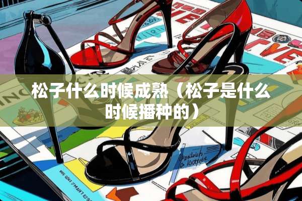 松子什么时候成熟（松子是什么时候播种的）