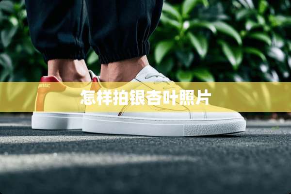 怎样拍银杏叶照片