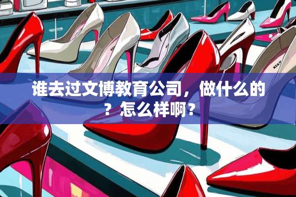 谁去过文博教育公司，做什么的？怎么样啊？