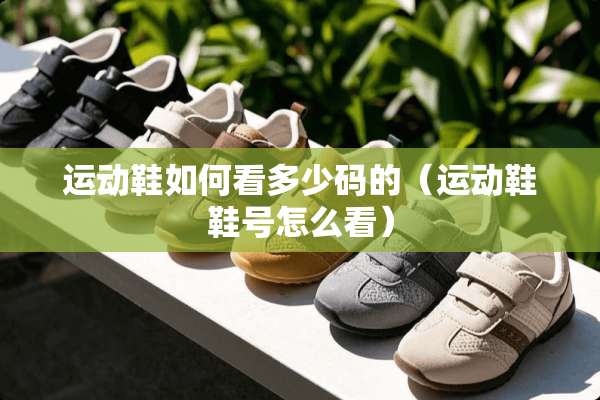 运动鞋如何看多少码的（运动鞋鞋号怎么看）