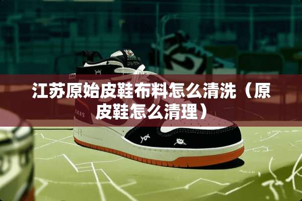 江苏原始皮鞋布料怎么清洗（原皮鞋怎么清理）