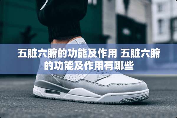 五脏六腑的功能及作用 五脏六腑的功能及作用有哪些