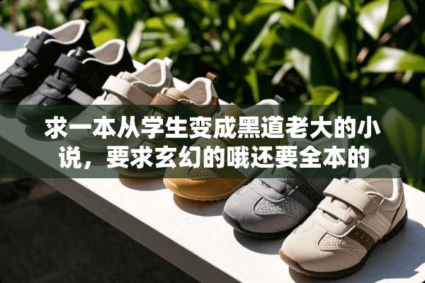 求一本从学生变成黑道老大的小说，要求玄幻的哦还要全本的