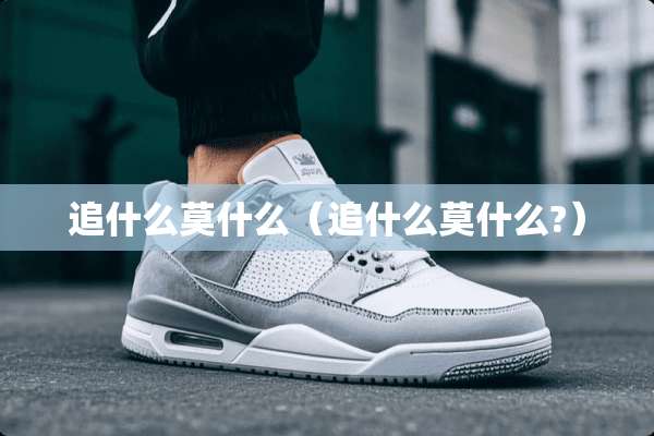 追什么莫什么（追什么莫什么?）