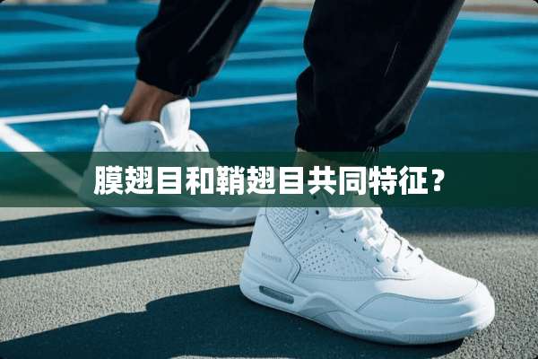 膜翅目和鞘翅目共同特征？