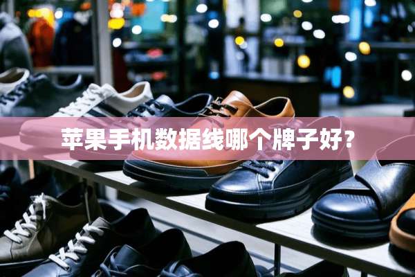 苹果手机数据线哪个牌子好？