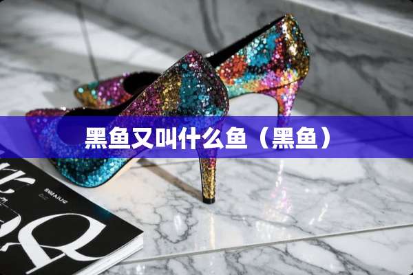 黑鱼又叫什么鱼（黑鱼）
