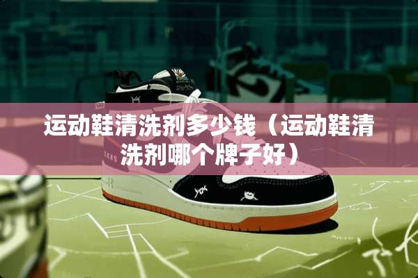运动鞋清洗剂多少钱（运动鞋清洗剂哪个牌子好）
