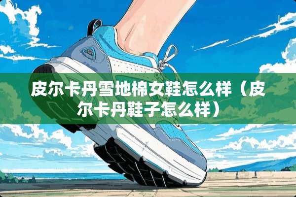 皮尔卡丹雪地棉女鞋怎么样（皮尔卡丹鞋子怎么样）