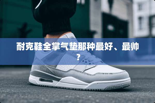 耐克鞋全掌气垫那种最好、最帅？