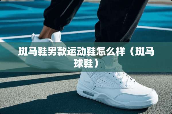 斑马鞋男款运动鞋怎么样（斑马球鞋）